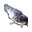 Peixe-Gato (vivo)