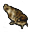 Peixe-Gato (grelhado)