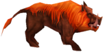 Javali Selvagem