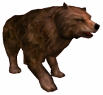 Urso Cinzento