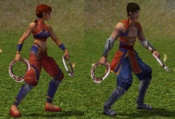 Chakramn.jpg