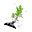 Flor de Sino.png