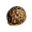 Semente de Pêssego.png