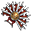 Leque da Condenação.png