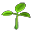 Rebento de Flor.png