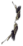 Arco Corvo Negro.png