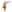 Campainha Libelinha.png