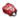 Cor Rubinum+ (Normal).png