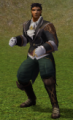 Disfarce Mosqueteiro IG.png