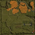 Bosque lvl 90.jpg