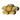 Yang.png
