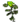 Erva Verde.png