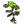 Erva Verde.png