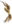 Arco Dragão Amarelo.png