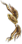 Arco Dragão Amarelo.png
