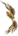 Arco Dragão Amarelo.png