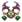 Faixa Shen (Fina).png