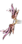 Arco Damasco Divino.png