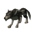 Lobo