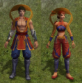 Ninja Mestre 1.PNG