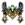 Faixa Chou (Nobre).png