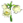 Lírio-do-Vale.png