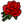 Rosa.png