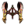 Faixa Zi (Básica).png