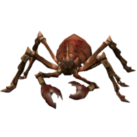 Aranha de Garra
