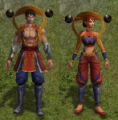 Ninja Mestre 2.PNG