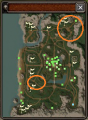 Joan lvl 5.png