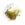 Dente Molar.png