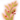 Ervas do Sol.png
