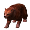 Urso Pardo