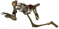 Esqueleto de Sura 3.png