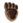 Pele de Pé de Urso.png