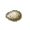 Ovos de Aranha.png