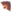 Leque Ave do Paraíso.png