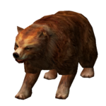 Urso Pardo