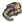Garra do Dragão.png
