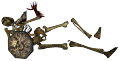 Esqueleto de Sura 2.png