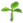 Rebento de Flor.png